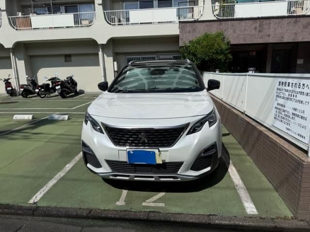 PEUGEOT PEUGEOT 3008