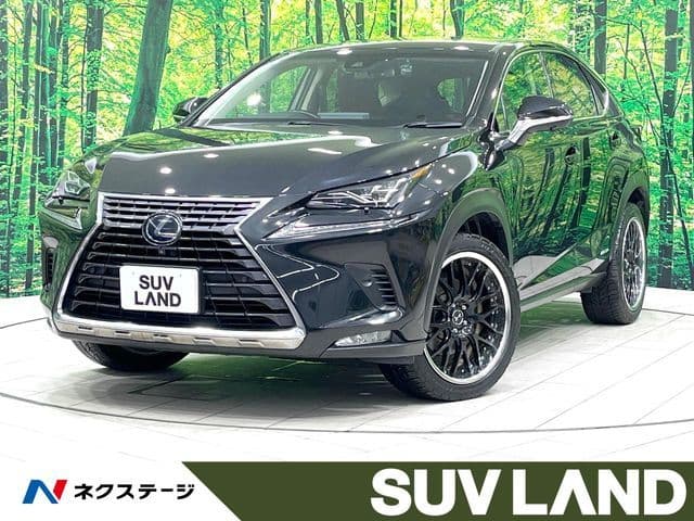 TOYOTA LEXUS NX300h