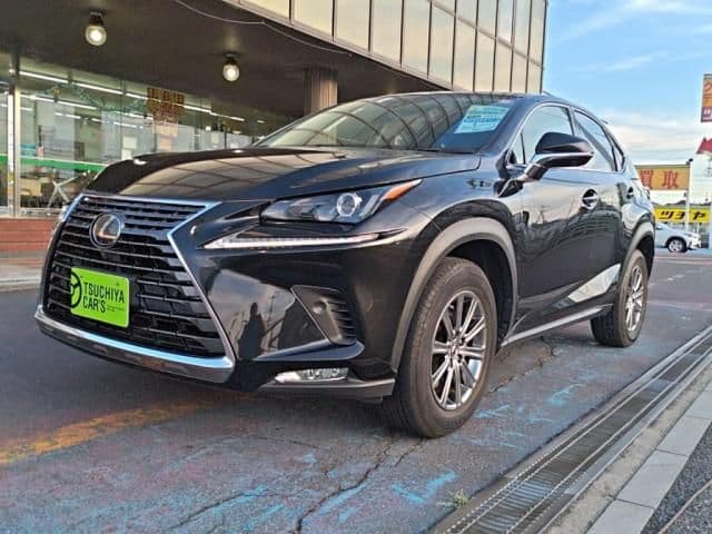 TOYOTA LEXUS NX300