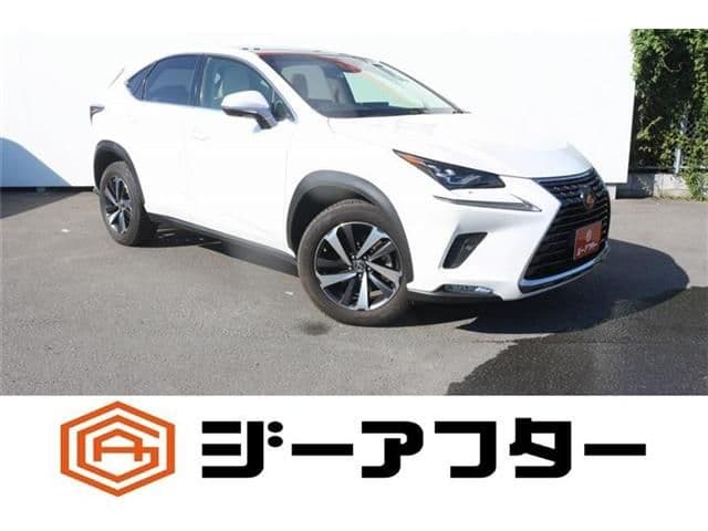 TOYOTA LEXUS NX300